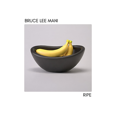 23-11_BLM_Album Cover2.png