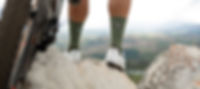 Main_banners-new_website_text-02.jpg