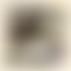 How to Plan Your Semester Like a Type-A Girl in Crisis