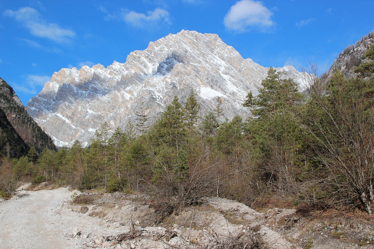 Monte Scotter