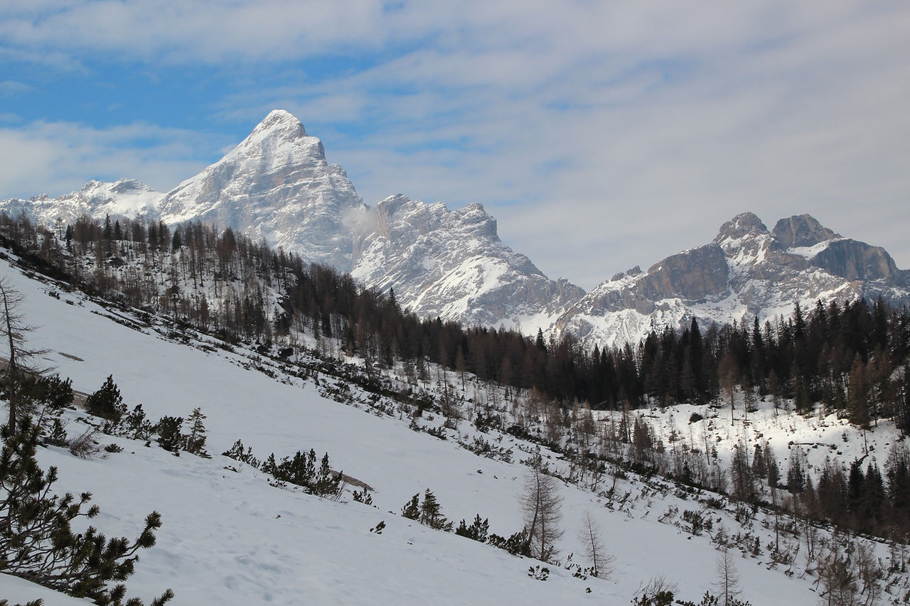 Civetta