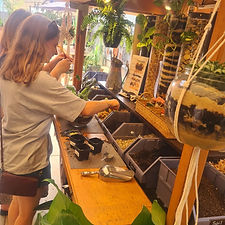 Terrarium Bar Rutherglen