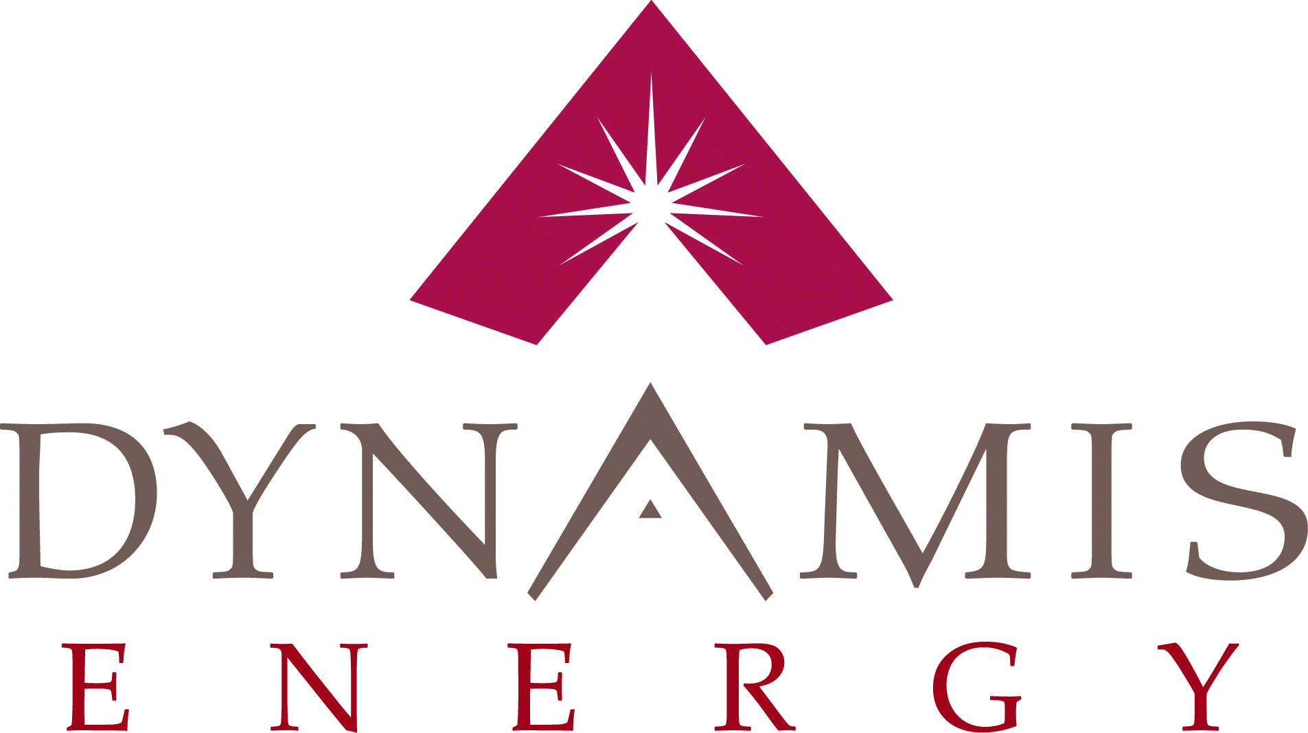 Dynamis Energy Logo