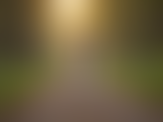 Unterstützen Sie Pfoten für Bo: Hundespaziergänge für Therapie