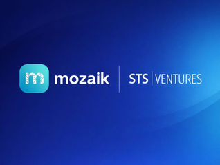 New Investment: Mozaik