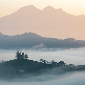 16 Grade 2 - 1st Colour - Eamon O' Donnell.jpg