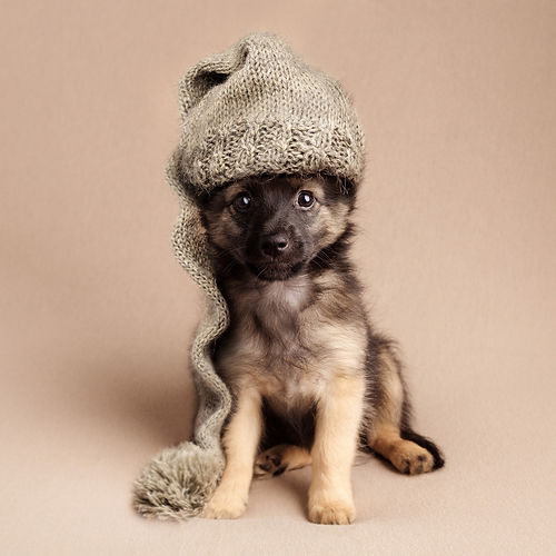 01 Grade 4 - 1st - Bella Daly.jpg