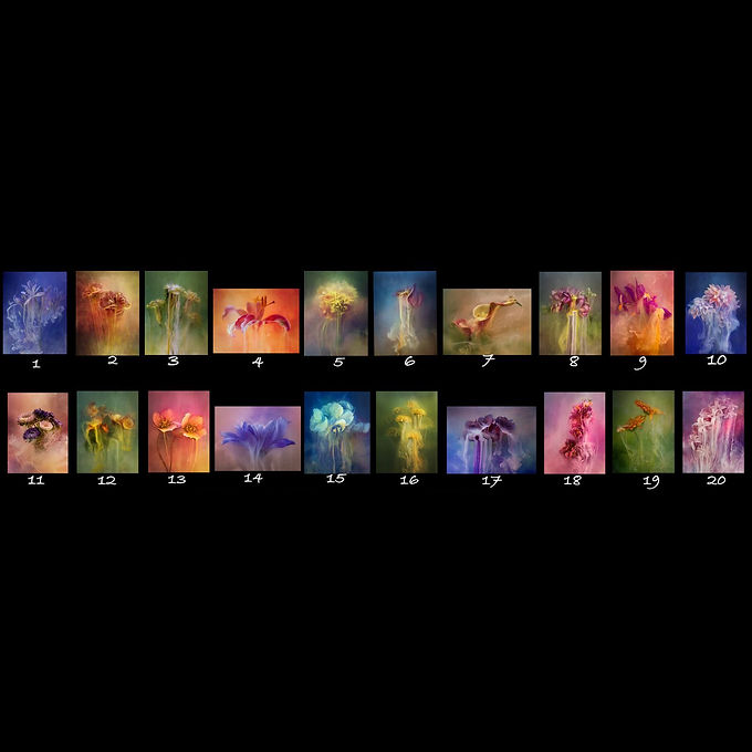 Viv Buckley earns Master Craftsman Awards