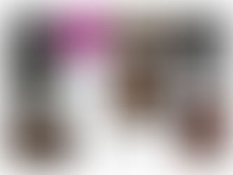 League 2023-2024 Overall Winners