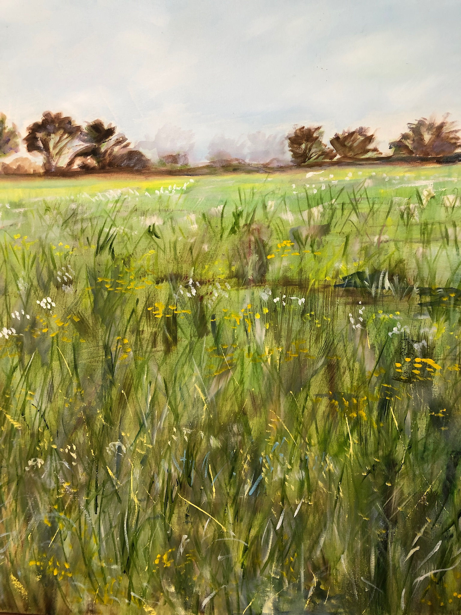 Spring Meadow