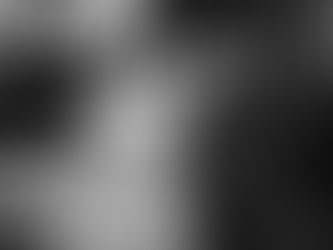 Bruiloft bij De Landgoederij Bunnik | Een trouwdag met een vleugje fantasie