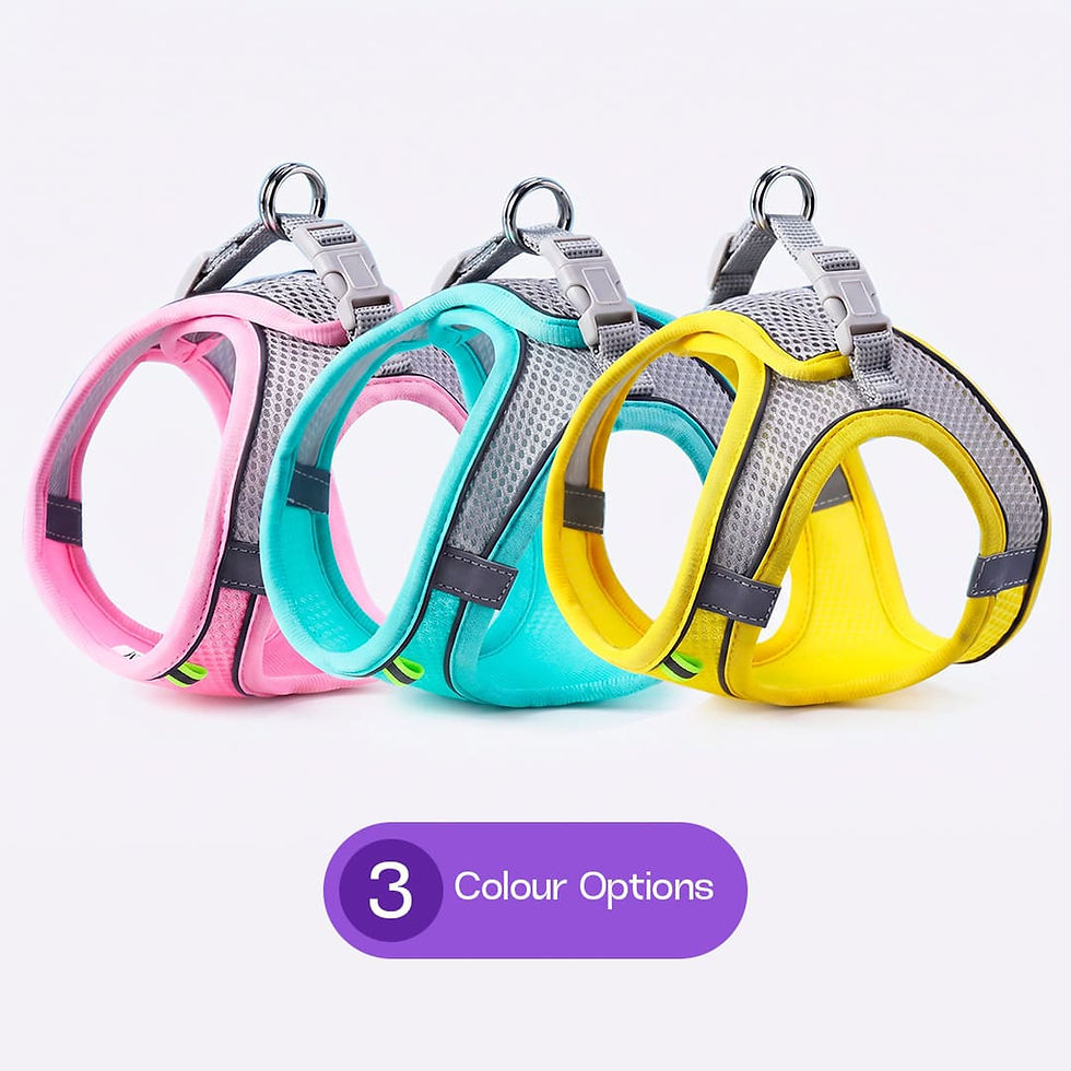 Thumbnail: Ricota’s NightWalk Harness™