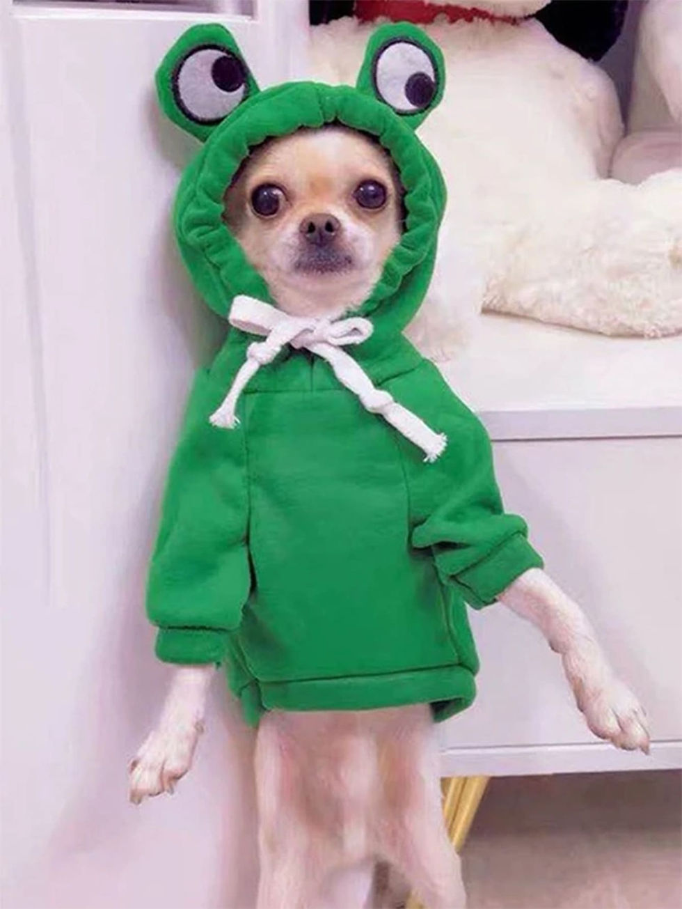 Thumbnail: Cute Frog Dog Hoodie | Cozy Pet Jumper for Small Dogs & Cats