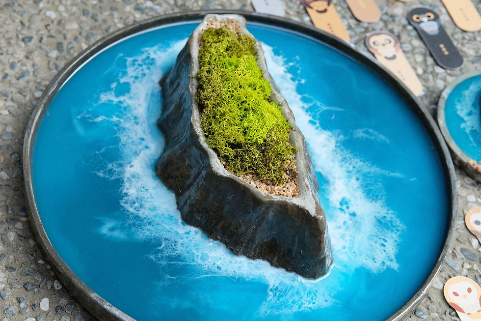 縮圖：海洋海島創作 環氧樹脂 水泥創作 野生動物 手作課程 流動畫 海浪