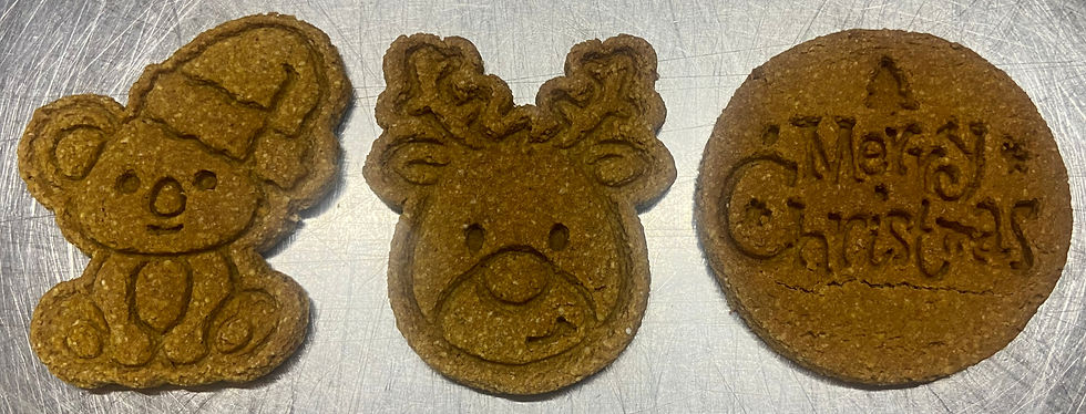 Gingerbread biscuits