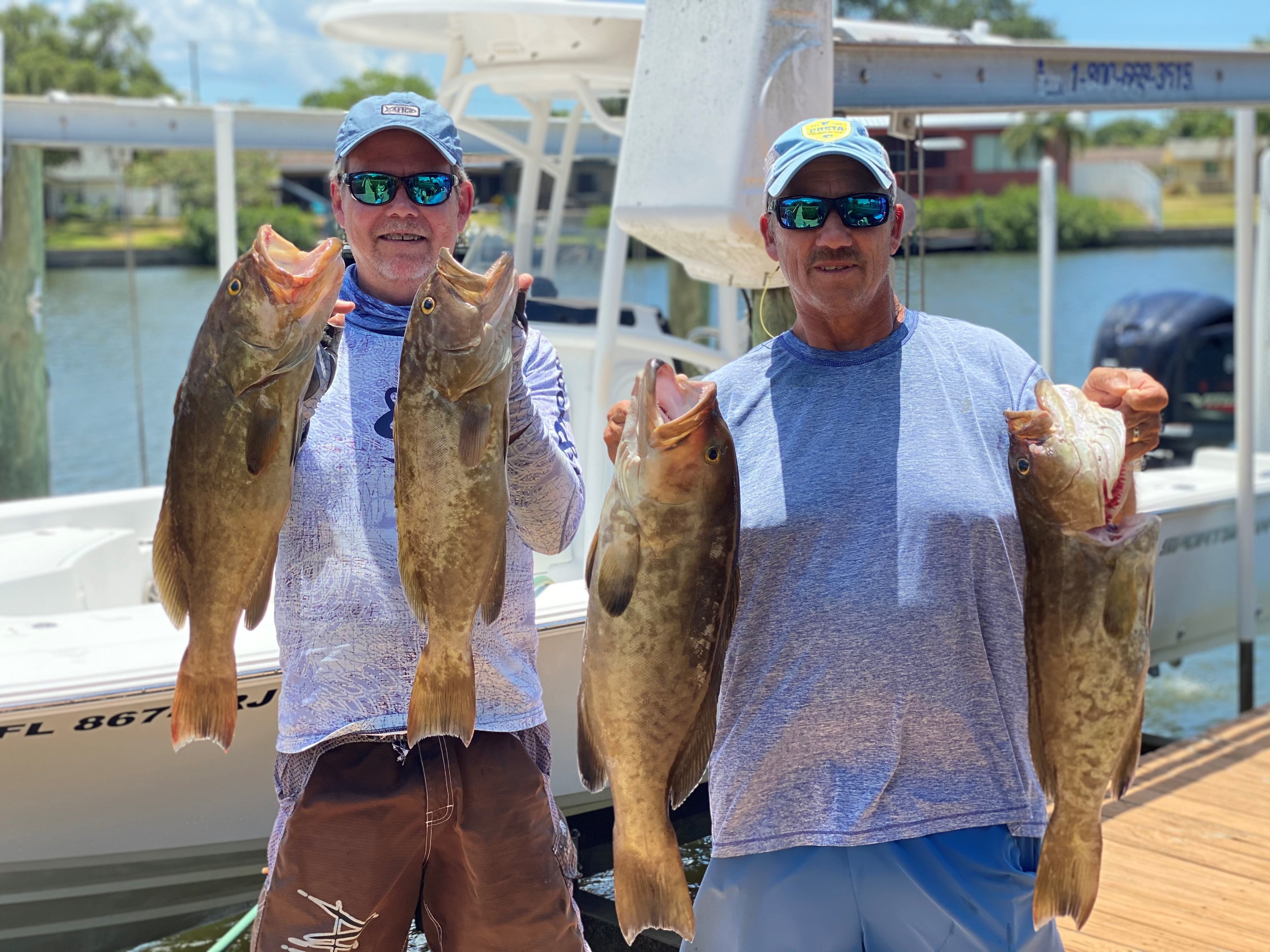 gag grouper gag grouper