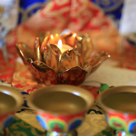 Conseils au quotidien – semaine du 26 février au 3 mars