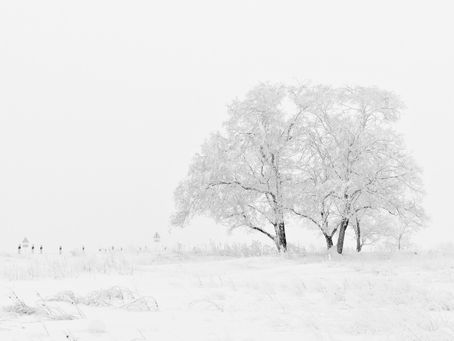 Revenir à l’essentiel