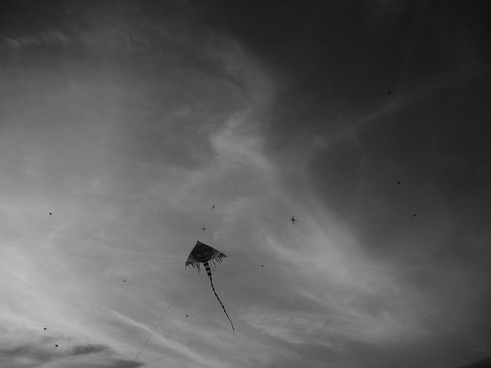 DSCN5128