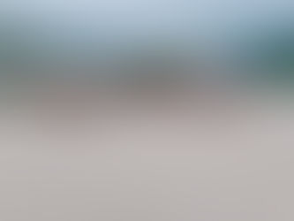 蛭川中学校体育大会