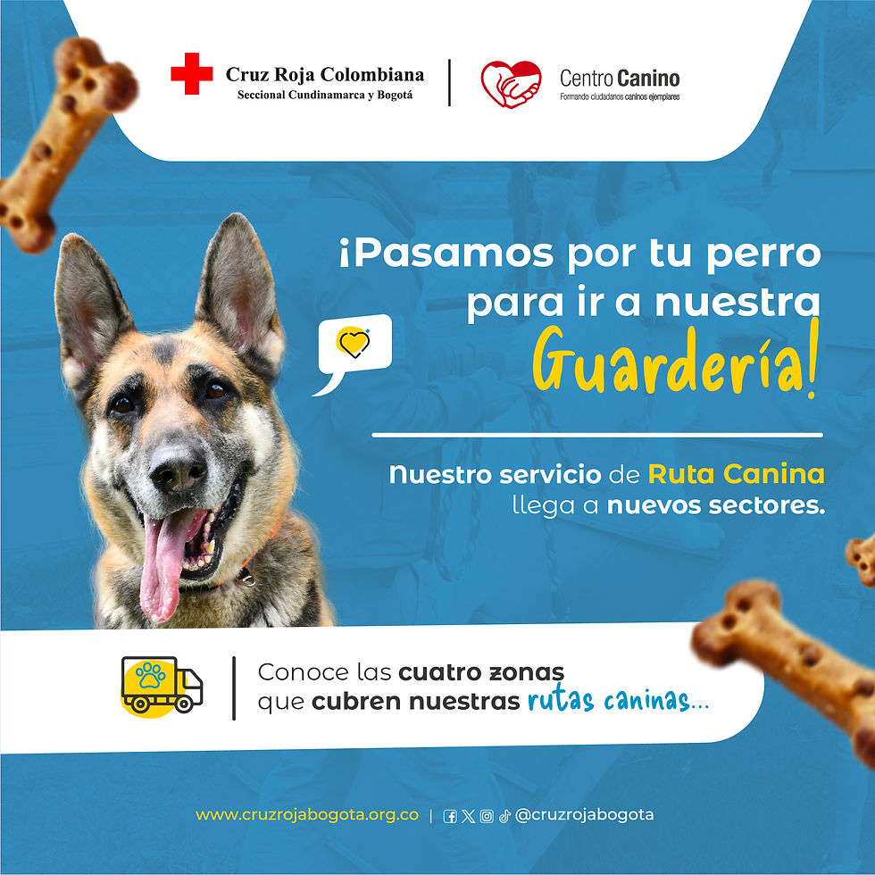 Ruta Canina