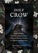 Holy Crow Cover