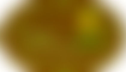 СТАРТОВАЛ НОВЫЙ КОНКУРСНЫЙ СЕЗОН