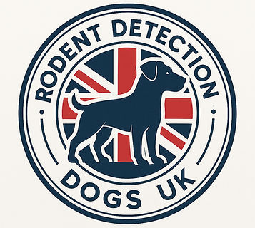 ChatGPT Image Nov 4, 2025, 05_50_16 PM_edited.jpg