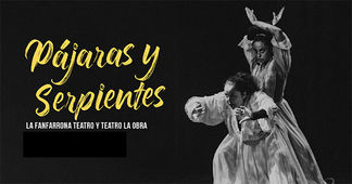 Pájaras y serpientes