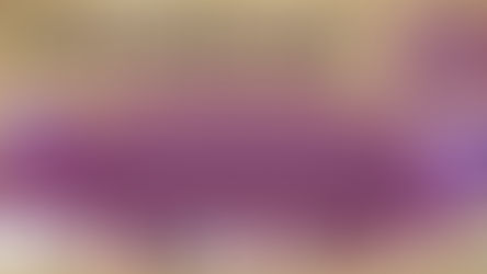 “GRAN VIOLETAZO”