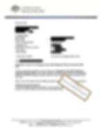 Bridging Visa - Subclass 050 With Work Rights - Visa Grant Letter