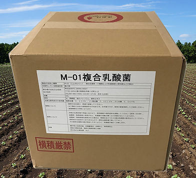 製品写真.jpg