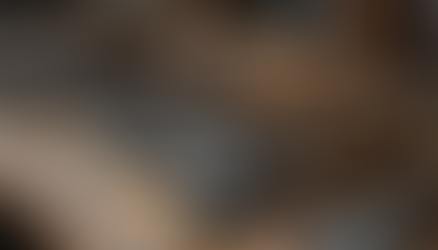 Tradition In Motion: A Look at Hand Tool Evolution