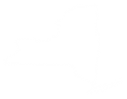 New York State Map