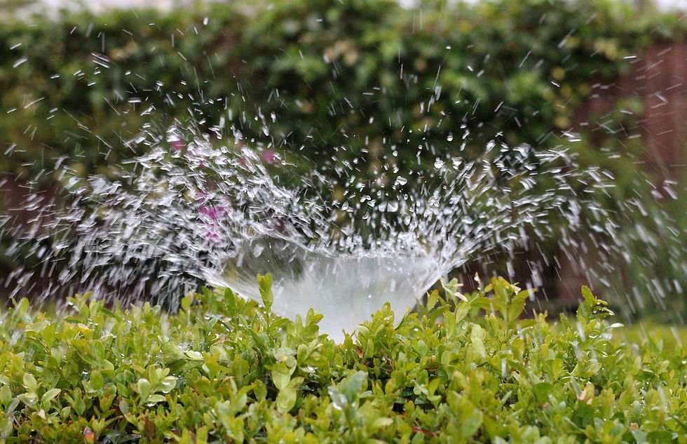 Garden_Parc_Jardinier_Spécialiste_Arrosage_Automatique_Peymeinade