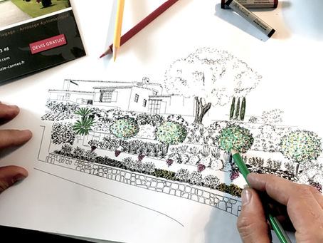 Création d'un Jardin Méditerranéen à Saint Paul de Vence