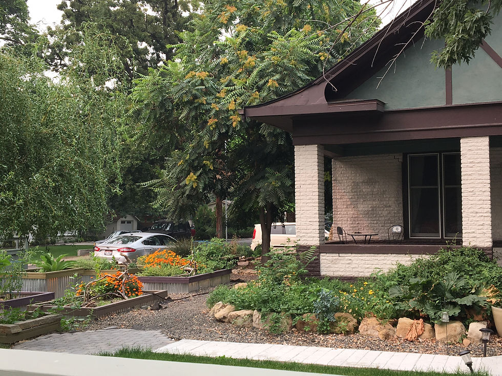 Planter Beds