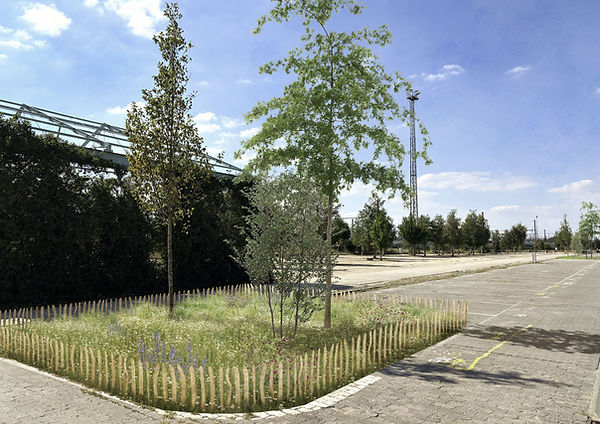 voorstel boomvakken-min.jpg