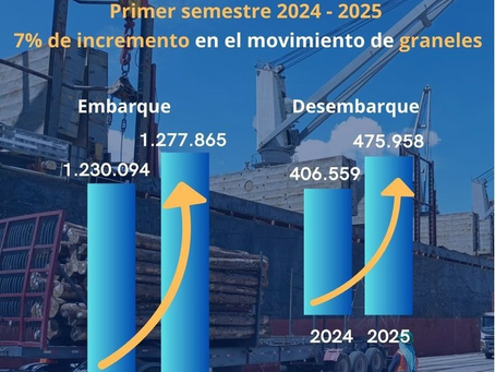 ANP Adopts Strategic Lines for 2025–2029 Period – Visión Marítima | 13/08/25