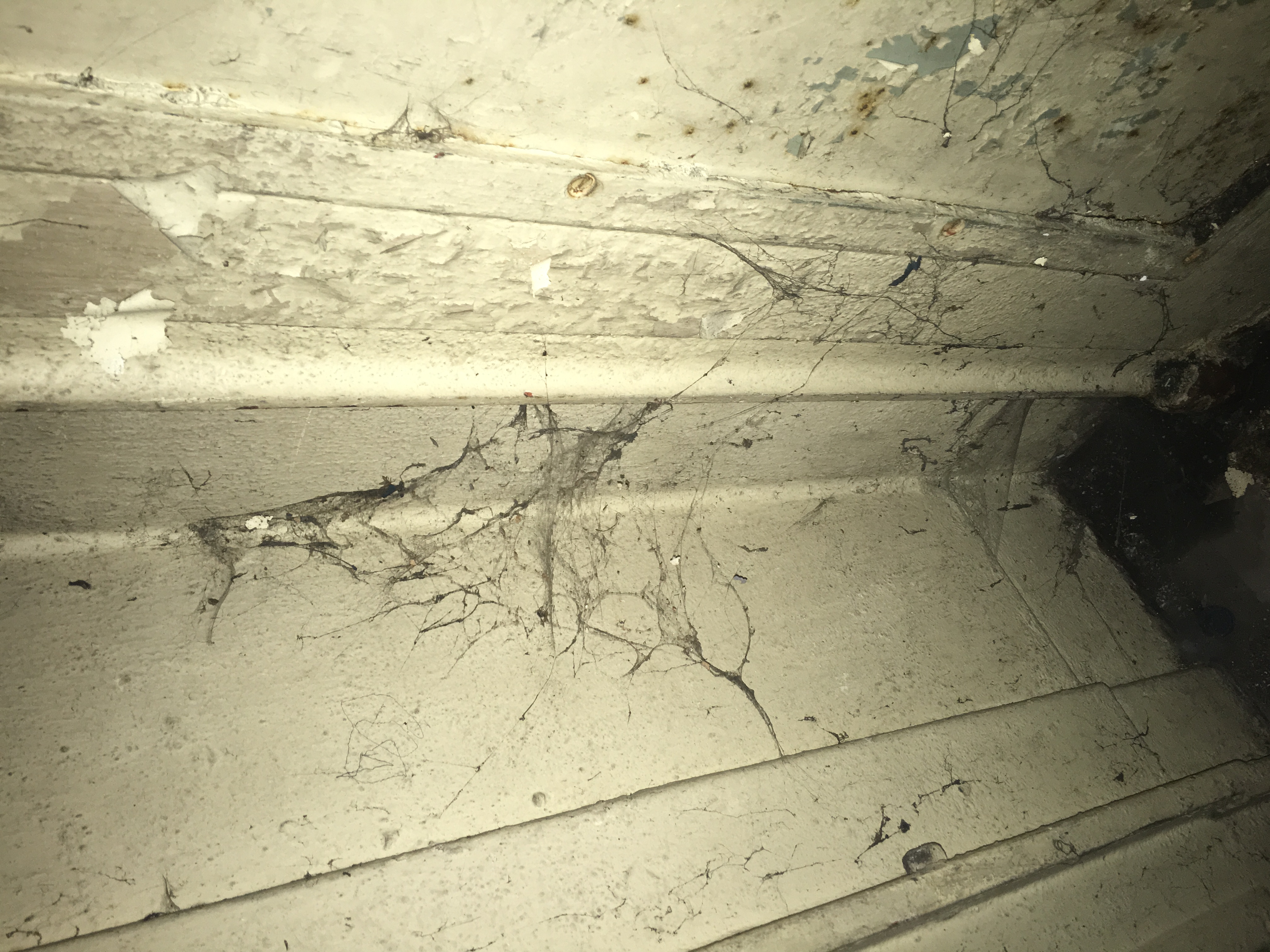 Sooty cobwebs in corner