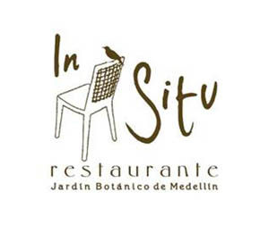 InSitu_Logo.jpg
