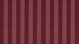 fondo rayas 1.png