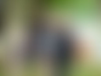 Maternity Photos | Hagerstown, MD