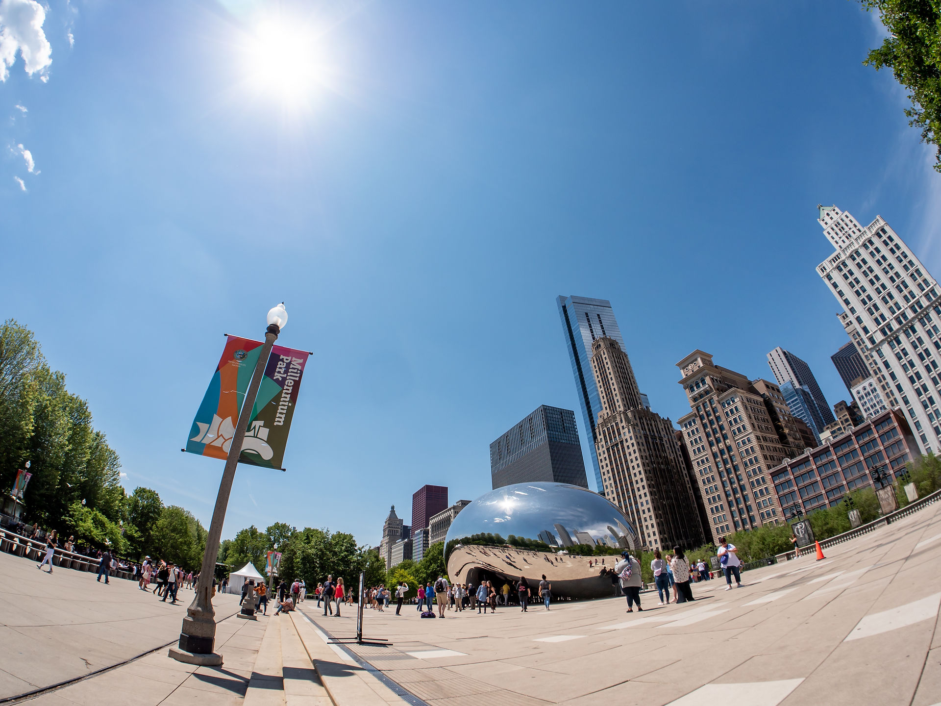 01_Chicago Bean_LS-1