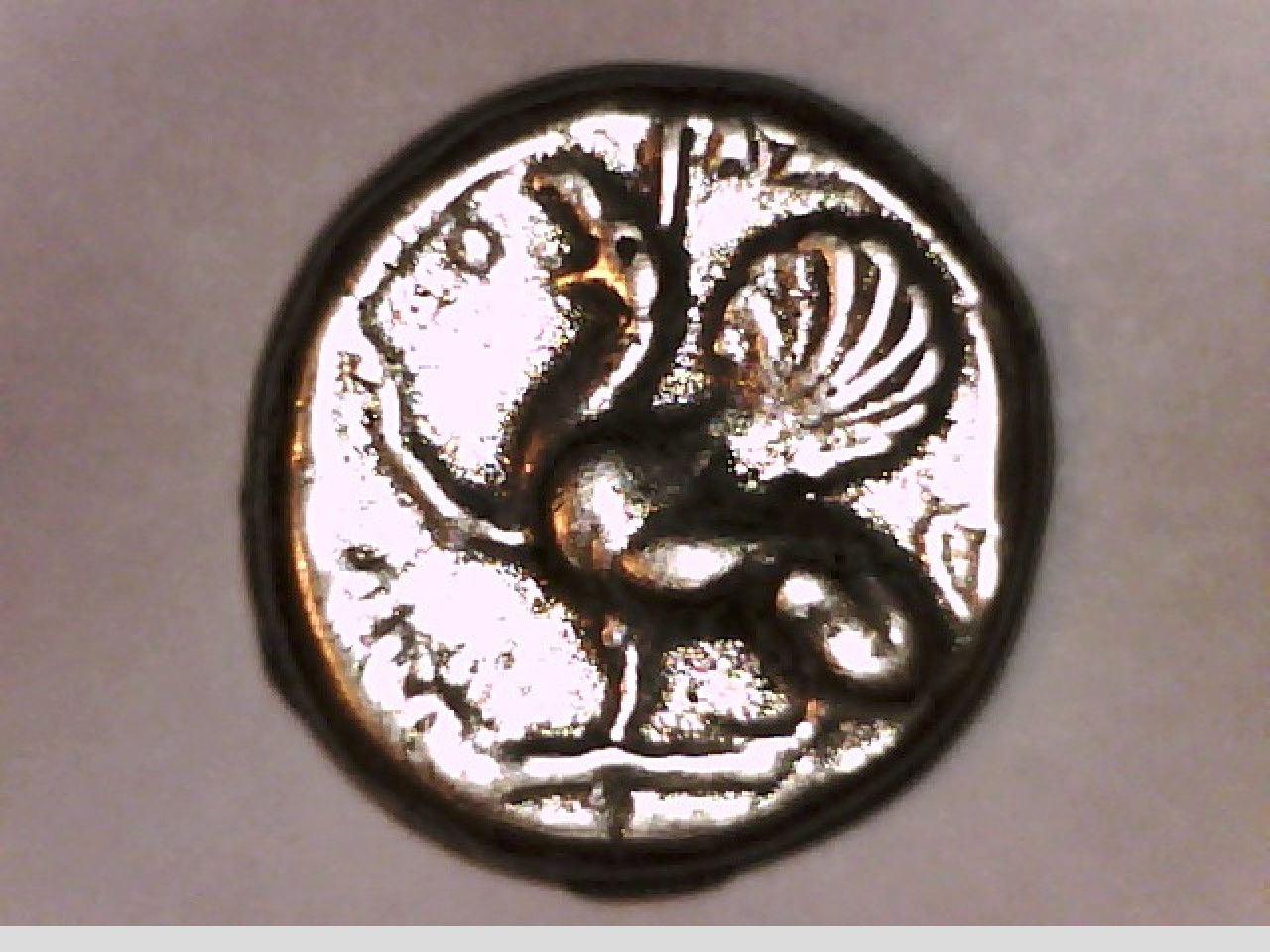 Thrace, Abdera, Tetradrachm, Griffin or Gryphon