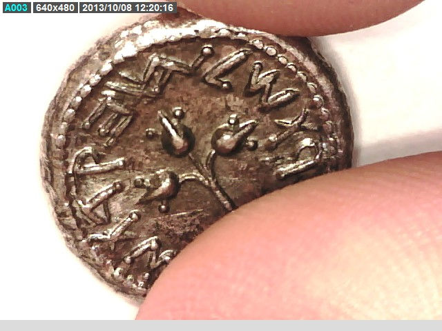 Thumbnail: Israel Jewish Judean Biblical Shekel Coin