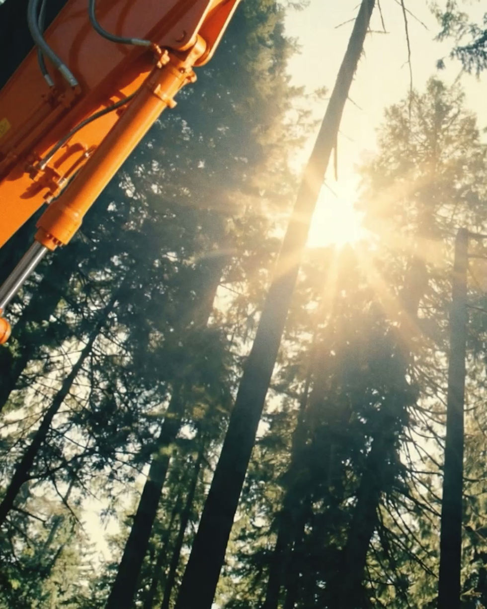 Landcros_The_Reliable_Orange_53s_4x5.mp4