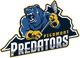 preds.png