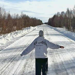 Lapponia svedese on the road