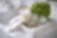 BritanniaHotel_SignatureSuite_colonialma